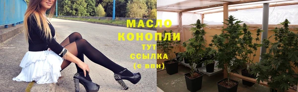 сатива Михайлов